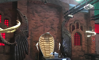 電影《營(yíng)救汪星人》AV置景